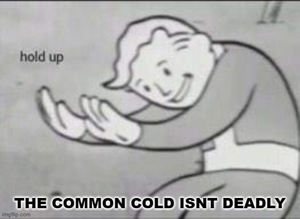 Fallout Hold Up | THE COMMON COLD ISNT DEADLY | image tagged in fallout hold up | made w/ Imgflip meme maker