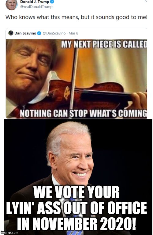 Trump Fiddles like Nero | WE VOTE YOUR LYIN' ASS OUT OF OFFICE IN NOVEMBER 2020! | image tagged in trump fiddles like nero | made w/ Imgflip meme maker