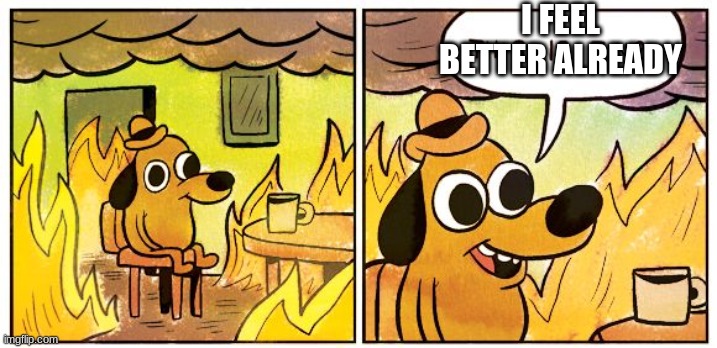 This Is Fine Meme | I FEEL BETTER ALREADY | image tagged in this is fine dog | made w/ Imgflip meme maker