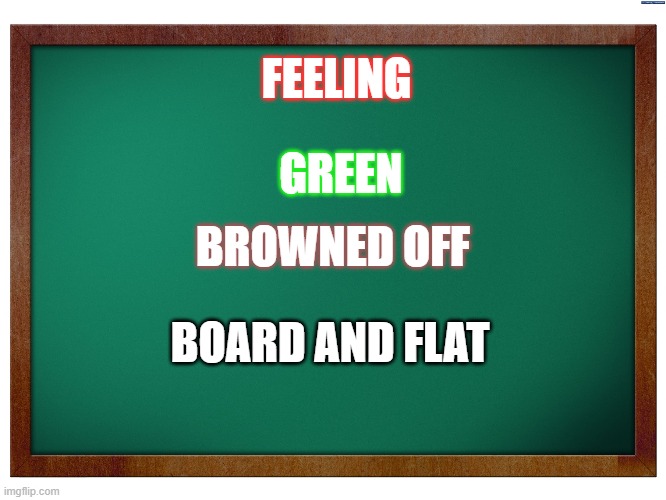 Green Blank Blackboard |  FEELING; GREEN; BROWNED OFF; BOARD AND FLAT | image tagged in green blank blackboard | made w/ Imgflip meme maker