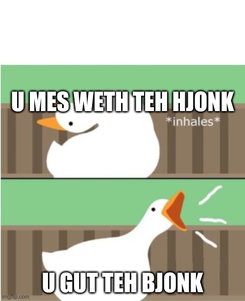 Untitled goose game honk | U MES WETH TEH HJONK; U GUT TEH BJONK | image tagged in untitled goose game honk | made w/ Imgflip meme maker