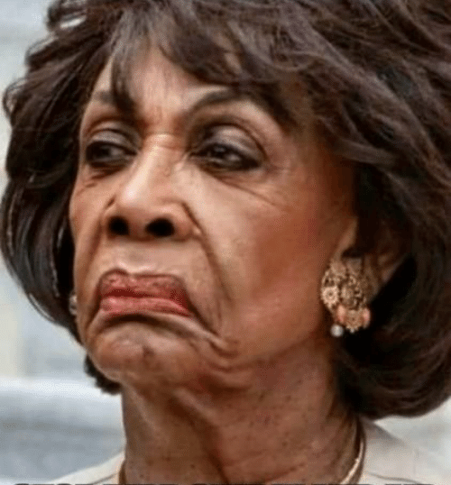 High Quality maxine waters, maxinewaters, democrat Blank Meme Template