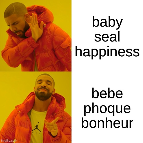 put it in translate | baby seal happiness; bebe phoque bonheur | image tagged in memes,drake hotline bling,funny,french | made w/ Imgflip meme maker