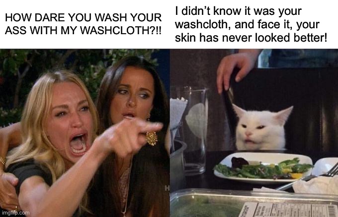 Woman Yelling At Cat Meme | HOW DARE YOU WASH YOUR ASS WITH MY WASHCLOTH?!! I didn’t know it was your washcloth, and face it, your skin has never looked better! | image tagged in memes,woman yelling at cat | made w/ Imgflip meme maker