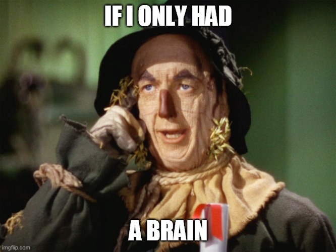 If I Only Had A Brain | IF I ONLY HAD; A BRAIN | image tagged in if i only had a brain | made w/ Imgflip meme maker