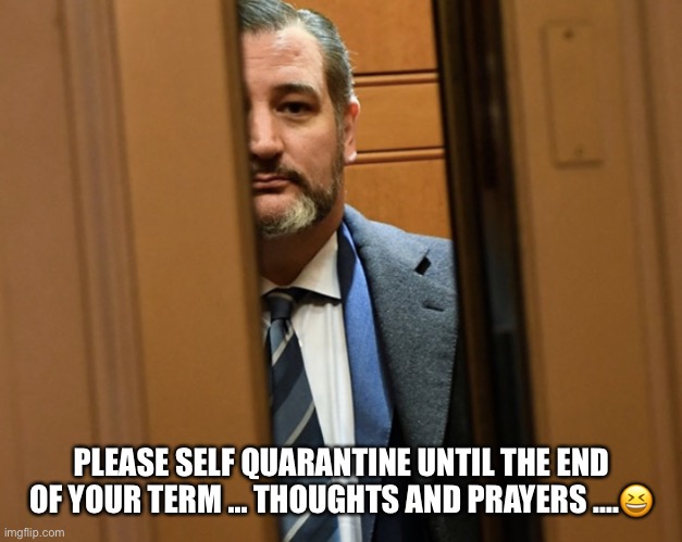 Ted Cruz Self-Quarantined Himself | PLEASE SELF QUARANTINE UNTIL THE END OF YOUR TERM ... THOUGHTS AND PRAYERS ....😆 | image tagged in ted cruz,quarantine,thoughts and prayers,tool,coronavirus,punchable face | made w/ Imgflip meme maker