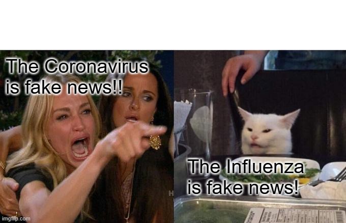 Woman Yelling At Cat Meme | The Coronavirus is fake news!! The Influenza is fake news! | image tagged in memes,woman yelling at cat | made w/ Imgflip meme maker