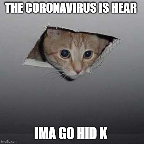Ceiling Cat Meme | THE CORONAVIRUS IS HEAR; IMA GO HID K | image tagged in memes,ceiling cat | made w/ Imgflip meme maker
