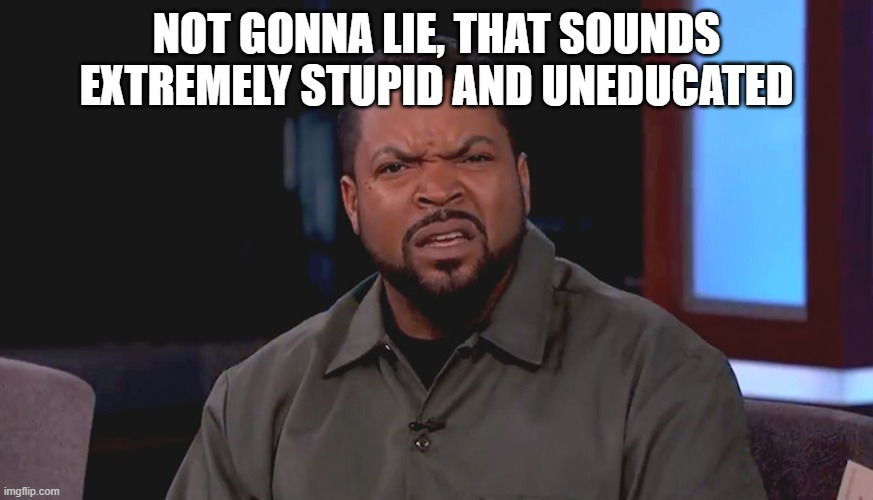 Really? Ice Cube | NOT GONNA LIE, THAT SOUNDS EXTREMELY STUPID AND UNEDUCATED | image tagged in really ice cube | made w/ Imgflip meme maker