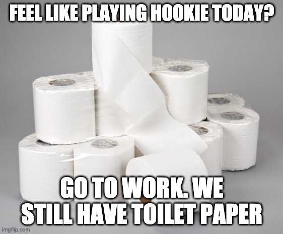 toilet paper | FEEL LIKE PLAYING HOOKIE TODAY? GO TO WORK. WE STILL HAVE TOILET PAPER | image tagged in toilet paper | made w/ Imgflip meme maker