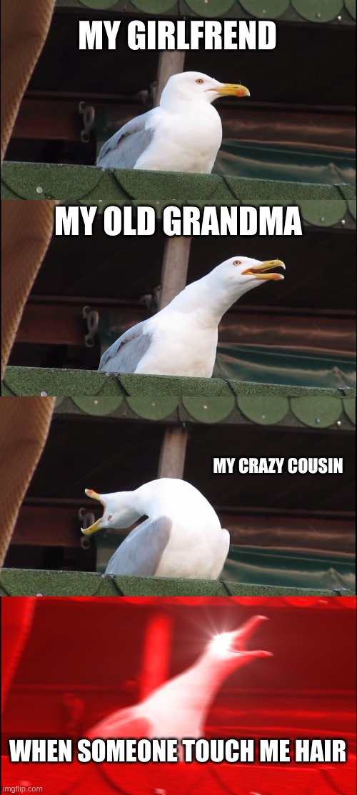 Inhaling Seagull Meme | MY GIRLFREND; MY OLD GRANDMA; MY CRAZY COUSIN; WHEN SOMEONE TOUCH ME HAIR | image tagged in memes,inhaling seagull | made w/ Imgflip meme maker