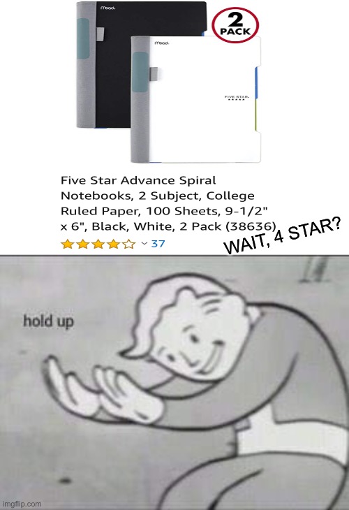 WAIT, 4 STAR? | image tagged in fallout hold up | made w/ Imgflip meme maker