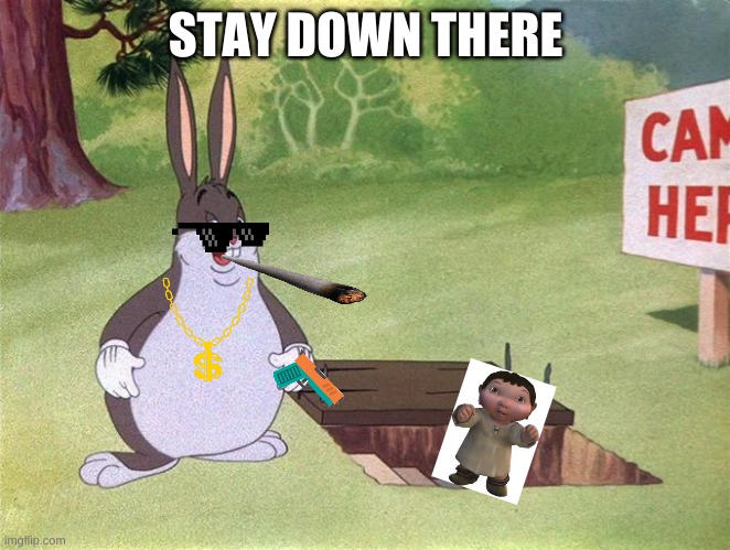 Big Chungus | STAY DOWN THERE | image tagged in big chungus | made w/ Imgflip meme maker