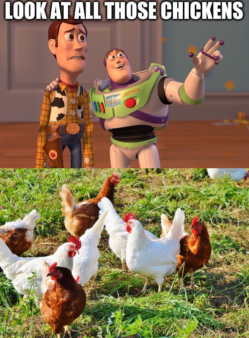 LOOK AT ALL THOSE CHICKENS | image tagged in memes,x x everywhere | made w/ Imgflip meme maker