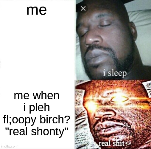 dude | me; me when i pleh fl;oopy birch? "real shonty" | image tagged in memes,sleeping shaq,2020,politics,funny,relatable | made w/ Imgflip meme maker