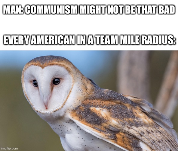 Communism be like | MAN: COMMUNISM MIGHT NOT BE THAT BAD; EVERY AMERICAN IN A TEAM MILE RADIUS: | image tagged in funny memes | made w/ Imgflip meme maker