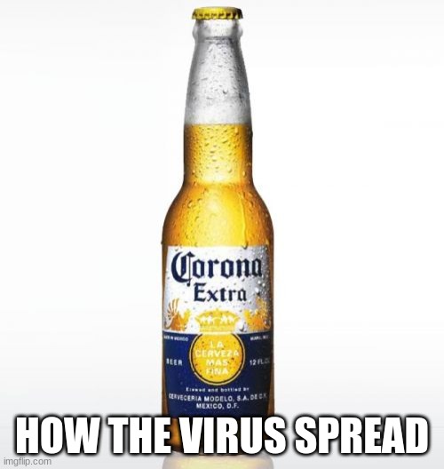 Corona Meme | HOW THE VIRUS SPREAD | image tagged in memes,corona | made w/ Imgflip meme maker