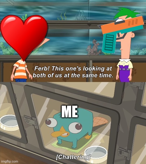 phineas and ferb | ME | image tagged in phineas and ferb | made w/ Imgflip meme maker