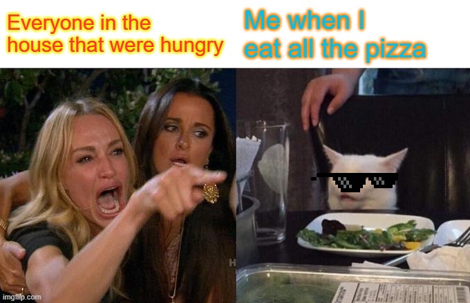 Woman Yelling At Cat | Everyone in the house that were hungry; Me when I eat all the pizza | image tagged in memes,woman yelling at cat | made w/ Imgflip meme maker