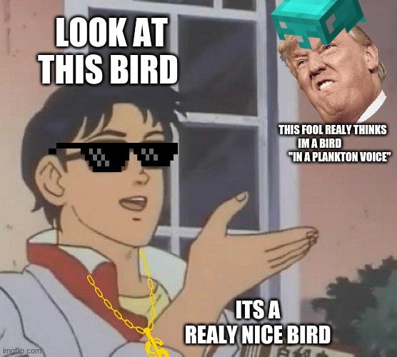 Is This A Pigeon | LOOK AT THIS BIRD; THIS FOOL REALY THINKS IM A BIRD                     "IN A PLANKTON VOICE"; ITS A REALY NICE BIRD | image tagged in memes,is this a pigeon | made w/ Imgflip meme maker