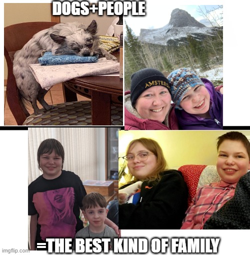 Blank Starter Pack Meme | DOGS+PEOPLE; =THE BEST KIND OF FAMILY | image tagged in memes,dogs | made w/ Imgflip meme maker