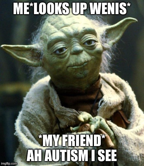 Star Wars Yoda Meme | ME*LOOKS UP WENIS*; *MY FRIEND* AH AUTISM I SEE | image tagged in memes,star wars yoda | made w/ Imgflip meme maker