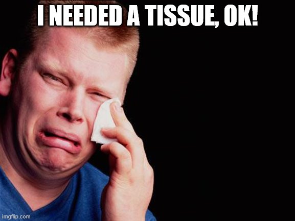 cry | I NEEDED A TISSUE, OK! | image tagged in cry | made w/ Imgflip meme maker