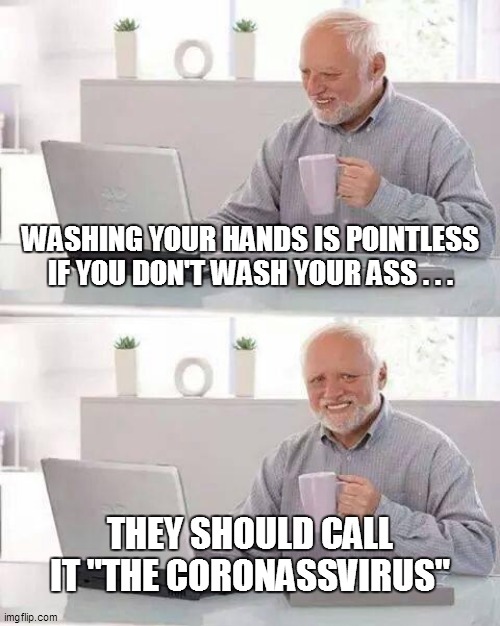 Hide the Pain Harold Meme | WASHING YOUR HANDS IS POINTLESS IF YOU DON'T WASH YOUR ASS . . . THEY SHOULD CALL IT "THE CORONASSVIRUS" | image tagged in funny,funny memes,funny meme,bad pun,bad puns,too funny | made w/ Imgflip meme maker