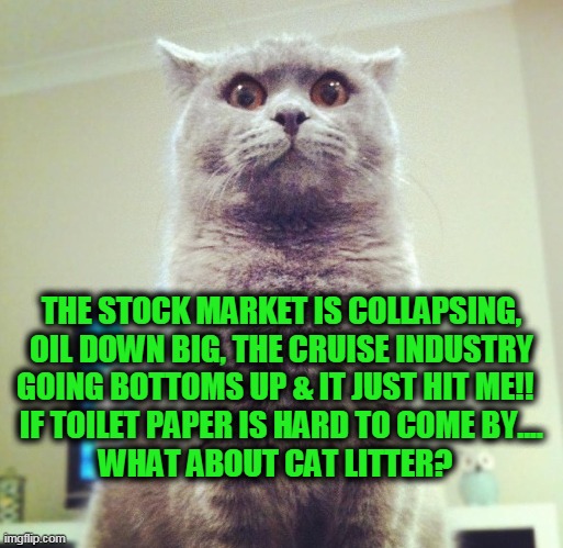 Deep Thoughts | THE STOCK MARKET IS COLLAPSING, OIL DOWN BIG, THE CRUISE INDUSTRY GOING BOTTOMS UP & IT JUST HIT ME!!   IF TOILET PAPER IS HARD TO COME BY....  WHAT ABOUT CAT LITTER? | image tagged in politics,political meme,cats,politics lol,political humor,wtf cat | made w/ Imgflip meme maker