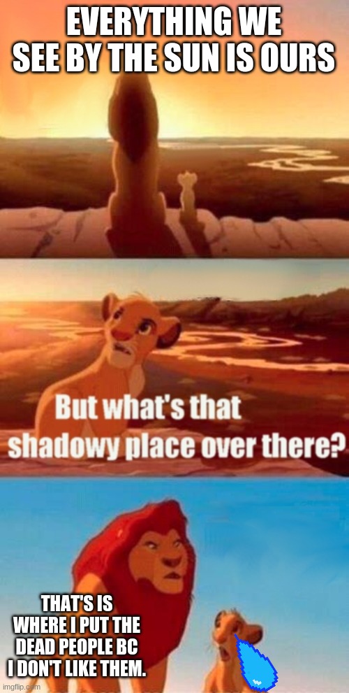 Simba Shadowy Place | EVERYTHING WE SEE BY THE SUN IS OURS; THAT'S IS WHERE I PUT THE DEAD PEOPLE BC I DON'T LIKE THEM. | image tagged in memes,simba shadowy place | made w/ Imgflip meme maker