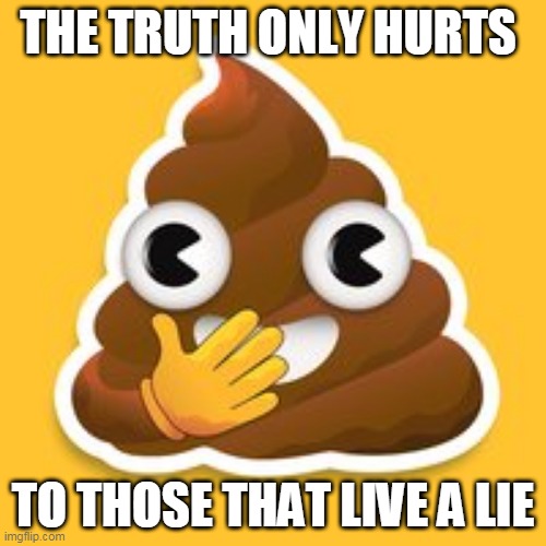 i hate liars and thieves | THE TRUTH ONLY HURTS; TO THOSE THAT LIVE A LIE | image tagged in truth hurts,liars | made w/ Imgflip meme maker