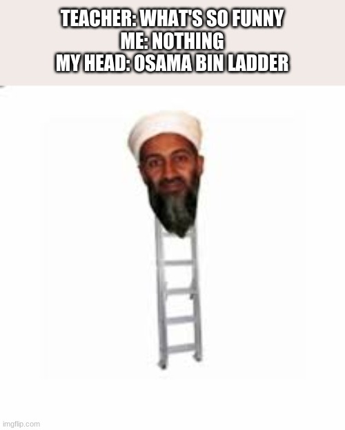 TEACHER: WHAT'S SO FUNNY
ME: NOTHING
MY HEAD: OSAMA BIN LADDER | image tagged in osama bin laden | made w/ Imgflip meme maker