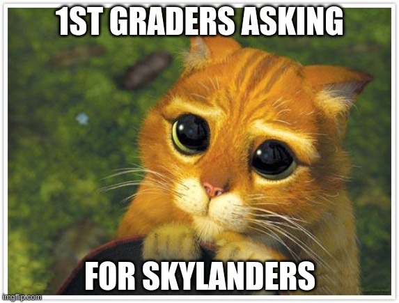 Shrek Cat | 1ST GRADERS ASKING; FOR SKYLANDERS | image tagged in memes,shrek cat | made w/ Imgflip meme maker