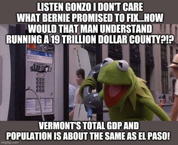 Kermit voices his thoughts about Bernie. | LISTEN GONZO I DON'T CARE WHAT BERNIE PROMISED TO FIX...HOW WOULD THAT MAN UNDERSTAND RUNNING A 19 TRILLION DOLLAR COUNTY?!? VERMONT'S TOTAL GDP AND POPULATION IS ABOUT THE SAME AS EL PASO! | image tagged in kermit phone,bernie sanders,economy | made w/ Imgflip meme maker