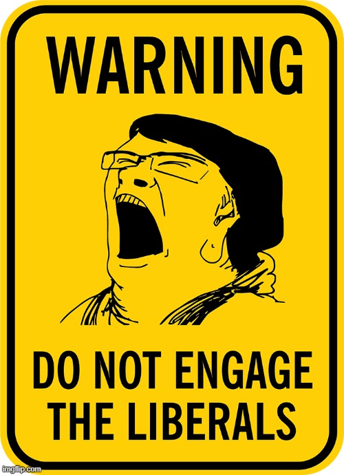 You've been warned! | image tagged in warning sign,liberals,sky screaming,memes | made w/ Imgflip meme maker