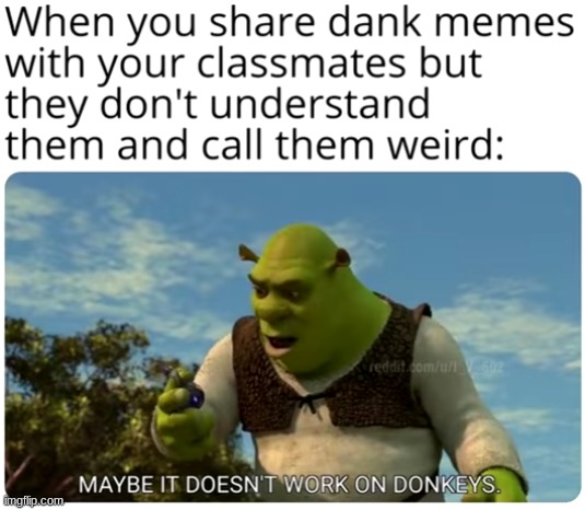 image tagged in shrek,memes,meme,dank,dank memes | made w/ Imgflip meme maker