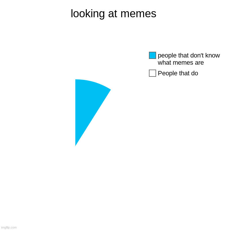 looking at memes | People that do, people that don't know what memes are | image tagged in charts,pie charts | made w/ Imgflip chart maker