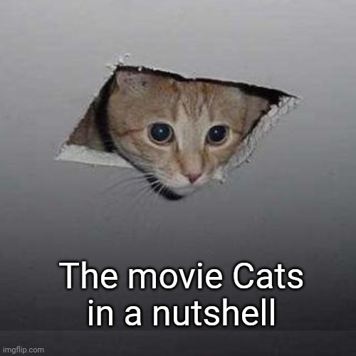 Ceiling Cat | The movie Cats in a nutshell | image tagged in memes,ceiling cat | made w/ Imgflip meme maker