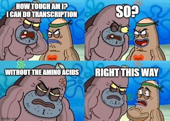 How Tough Are You | SO? HOW TOUGH AM I? I CAN DO TRANSCRIPTION; WITHOUT THE AMINO ACIDS; RIGHT THIS WAY | image tagged in memes,how tough are you | made w/ Imgflip meme maker