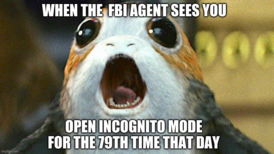 porg | WHEN THE  FBI AGENT SEES YOU; OPEN INCOGNITO MODE FOR THE 79TH TIME THAT DAY | image tagged in porg | made w/ Imgflip meme maker