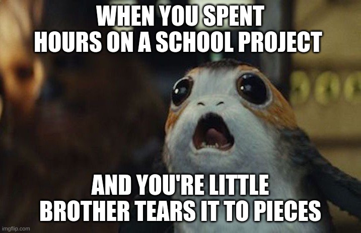 Star Wars Porg | WHEN YOU SPENT HOURS ON A SCHOOL PROJECT; AND YOU'RE LITTLE BROTHER TEARS IT TO PIECES | image tagged in star wars porg | made w/ Imgflip meme maker