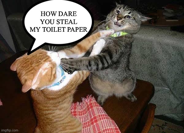 Two cats fighting for real | HOW DARE YOU STEAL MY TOILET PAPER | image tagged in two cats fighting for real | made w/ Imgflip meme maker