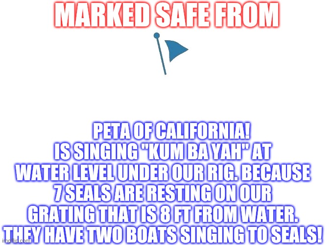Marked Safe | MARKED SAFE FROM; PETA OF CALIFORNIA!
IS SINGING "KUM BA YAH" AT WATER LEVEL UNDER OUR RIG. BECAUSE 7 SEALS ARE RESTING ON OUR GRATING THAT IS 8 FT FROM WATER. THEY HAVE TWO BOATS SINGING TO SEALS! | image tagged in marked safe | made w/ Imgflip meme maker