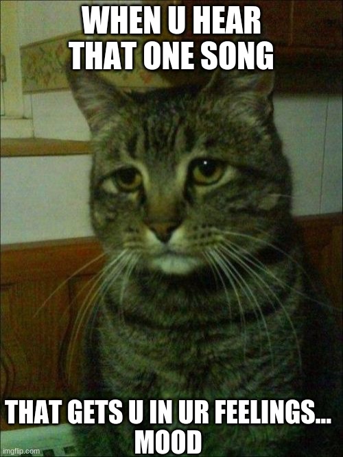 Depressed Cat Meme | WHEN U HEAR THAT ONE SONG; THAT GETS U IN UR FEELINGS...
MOOD | image tagged in memes,depressed cat | made w/ Imgflip meme maker
