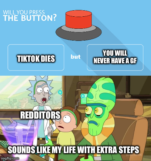 Crossovertime | YOU WILL NEVER HAVE A GF; TIKTOK DIES; REDDITORS; SOUNDS LIKE MY LIFE WITH EXTRA STEPS | image tagged in rick and morty-extra steps,would you press the button | made w/ Imgflip meme maker