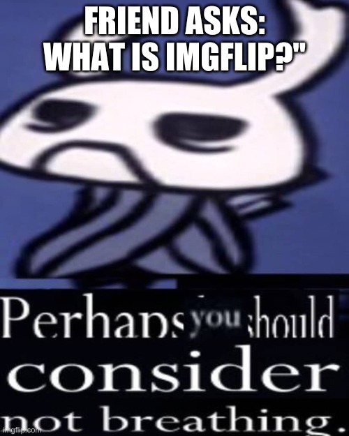 Hollow Knight "Not breathing" | FRIEND ASKS: WHAT IS IMGFLIP?" | image tagged in hollow knight not breathing | made w/ Imgflip meme maker