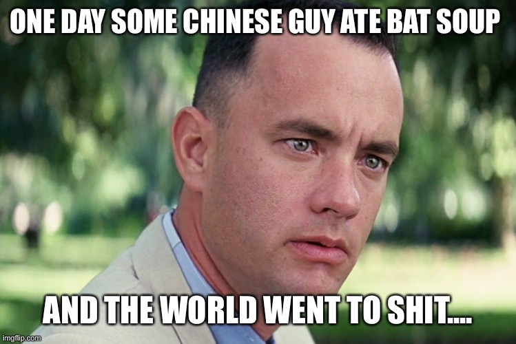 And Just Like That | ONE DAY SOME CHINESE GUY ATE BAT SOUP; AND THE WORLD WENT TO SHIT.... | image tagged in memes,and just like that | made w/ Imgflip meme maker