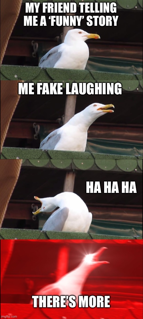 Inhaling Seagull Meme | MY FRIEND TELLING ME A ‘FUNNY’ STORY; ME FAKE LAUGHING; HA HA HA; THERE’S MORE | image tagged in memes,inhaling seagull | made w/ Imgflip meme maker