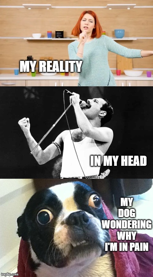 Singing in the kitchen | MY REALITY; IN MY HEAD; MY DOG WONDERING WHY I'M IN PAIN | image tagged in confused dog,freddie mercury,gotta do you,my reality,what it looks like | made w/ Imgflip meme maker