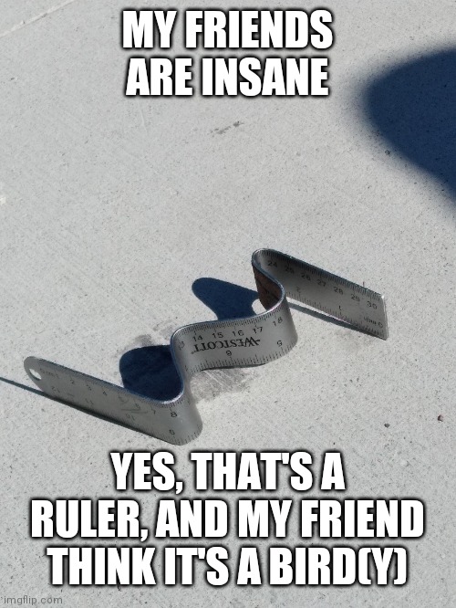 MY FRIENDS ARE INSANE; YES, THAT'S A RULER, AND MY FRIEND THINK IT'S A BIRD(Y) | made w/ Imgflip meme maker